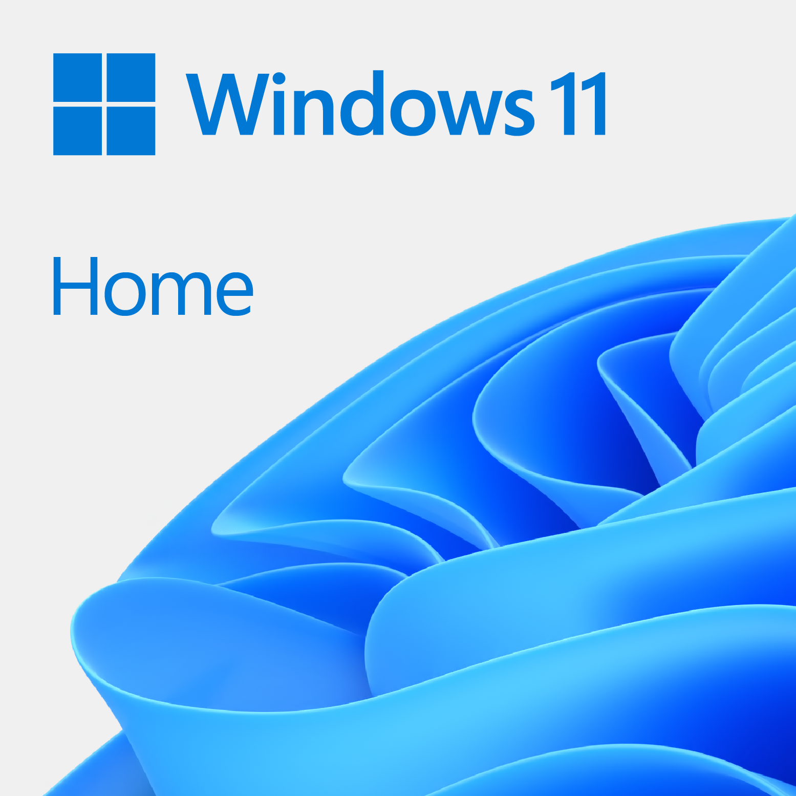 Windows 11 Pro vs Windows 11 Home: similitudes y diferencias entre ambas  versiones